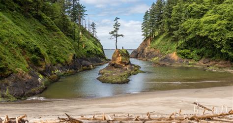 Beaches vancouver washington - Beaches Restaurant and Bar, Vancouver, Washington. 14,556 likes · 91 talking about this · 96,575 were here. Welcome to Beaches Restaurant & Bar.... located right on the Vancouver Waterfront. We will...